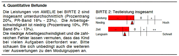 Beispiel: Amelies Leistungen im Gesamttest